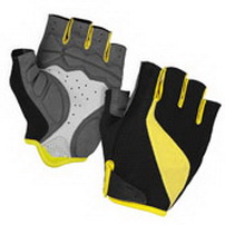 Cycling Glove